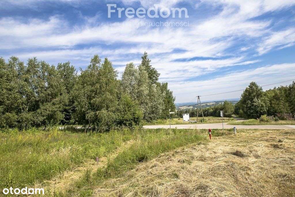 Działka widokowa 22 ar Lubenia - Pełny obrazek: 3/15