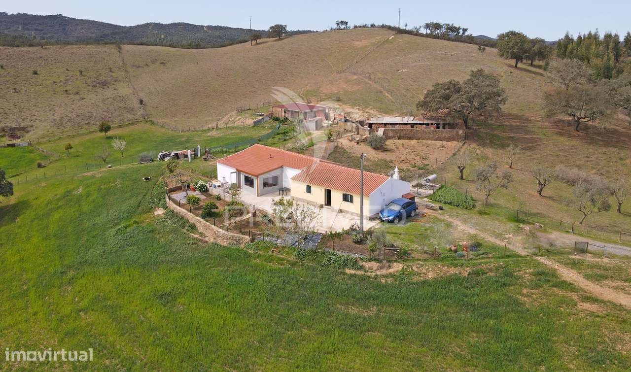 Quinta com 7,500 ha em São Martinho das Amoreiras - Grande imagem: 5/25