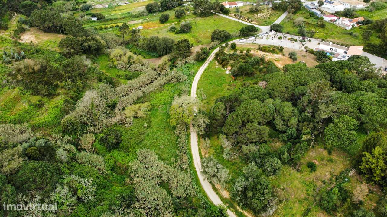 Fantástico Terreno de 6000 m2 para investimento - Grande imagem: 2/14