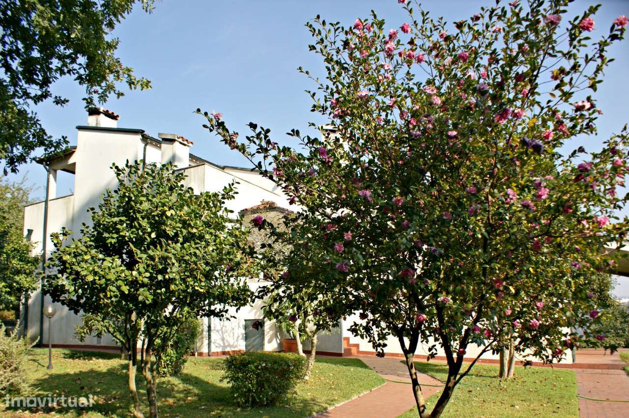 Fabulosa quinta em Guimarães - Grande imagem: 5/21