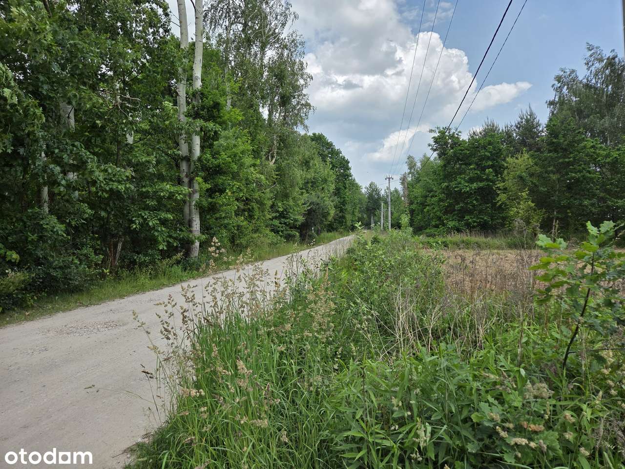 Dwie działki budowlane przy lesie, media, sprzedaż łączna-10