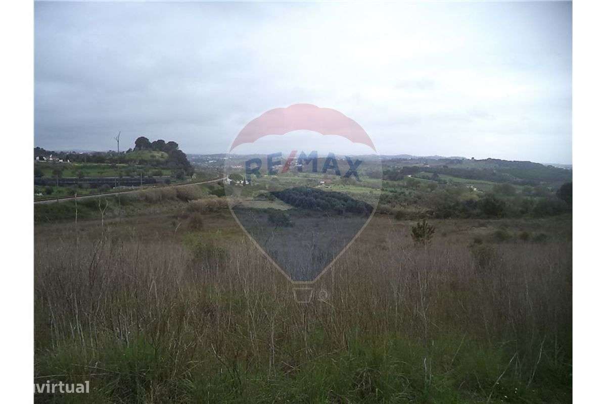 TERRENOS NA TAPADA - TOMAR - Grande imagem: 1/6