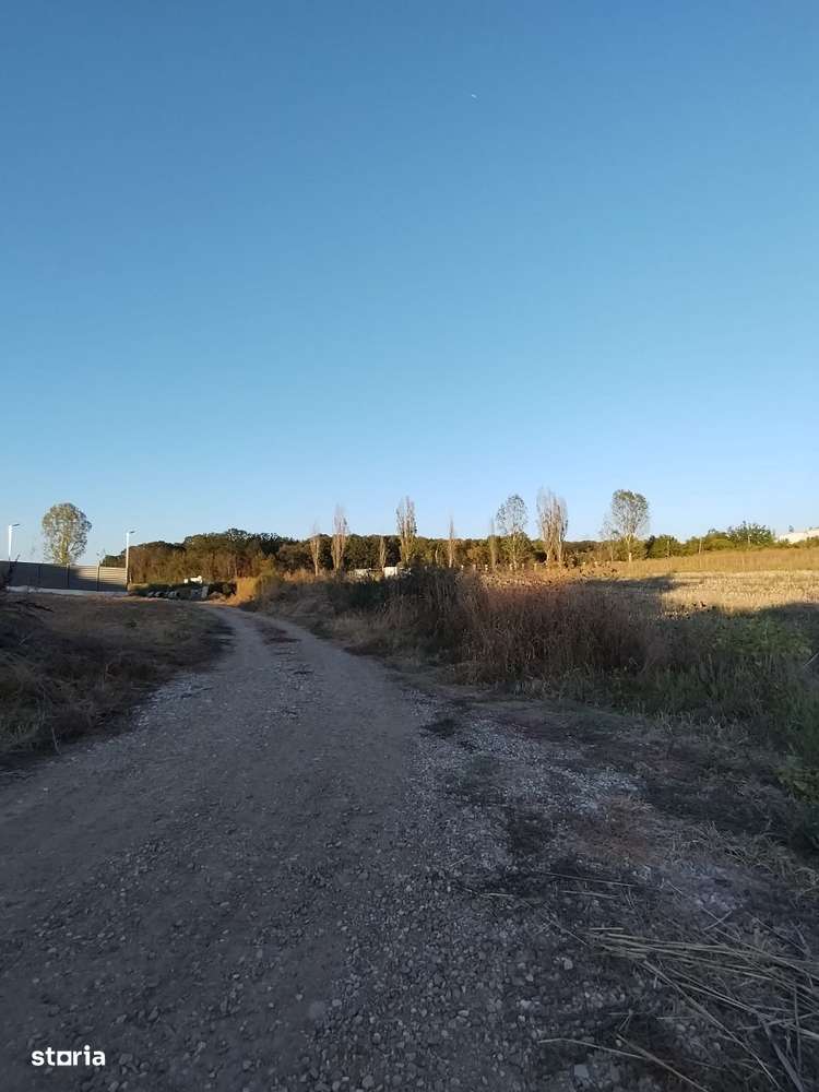 Ciolpani, spre Izvorani - COR, vanzare teren 5000mp. - Imagine principală: 2/14