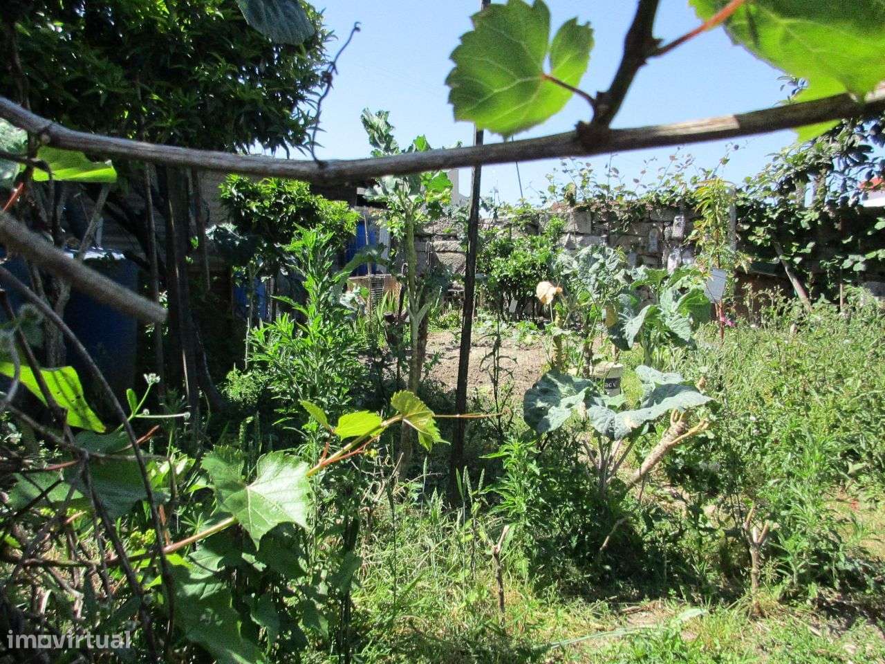 Terreno Urbano Ermesinde Centro-7