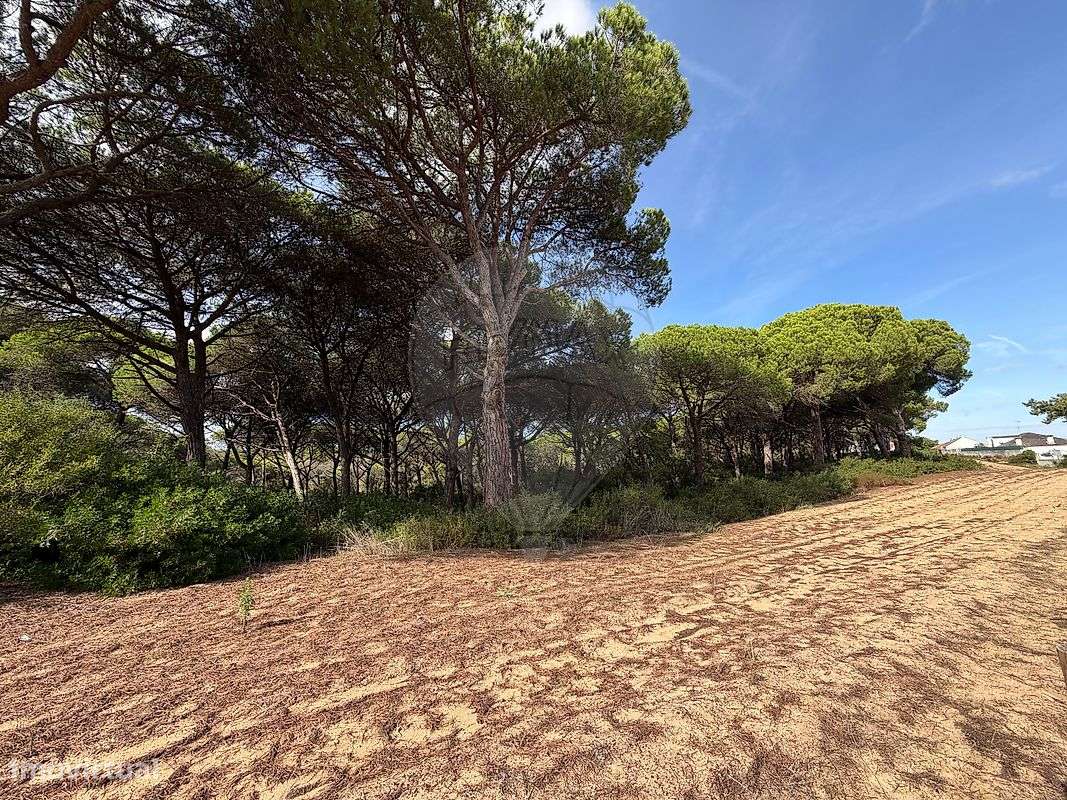 Terreno  para venda-15