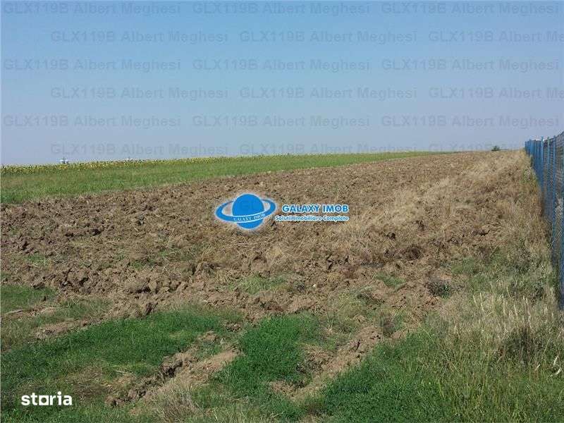 Vanzare Teren Intravilan  Herasti Giurgiu 2 HA - Imagine principală: 1/7