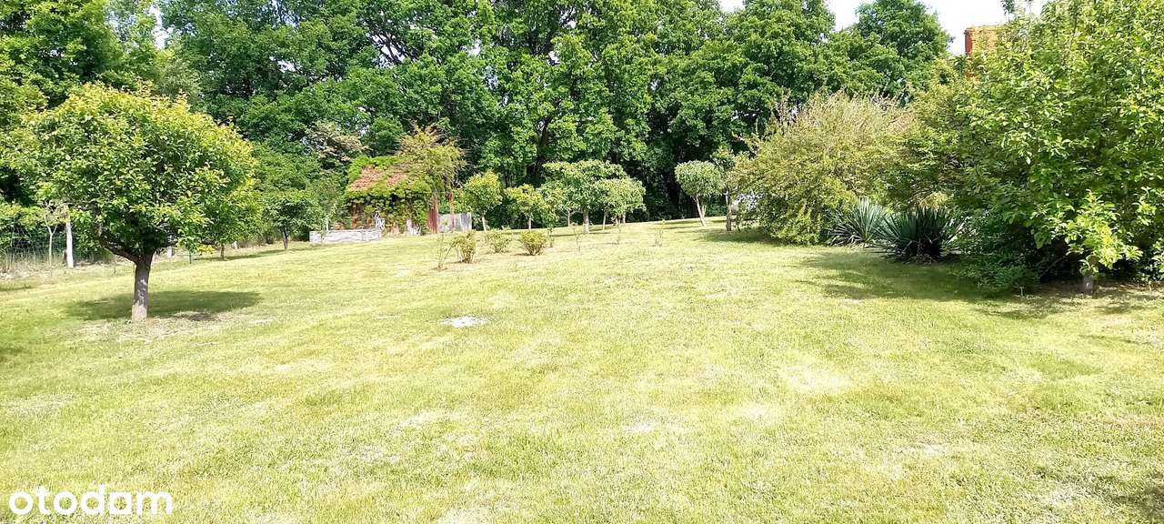 Garbicz - działka 5251 m² z budynkiem mieszkalnym nad jeziorem-4