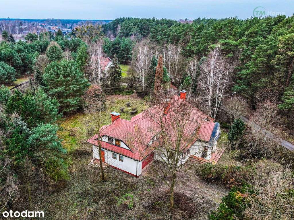 Strzeniówka 7000 m2 gruntu do własnej aranżacji.-3