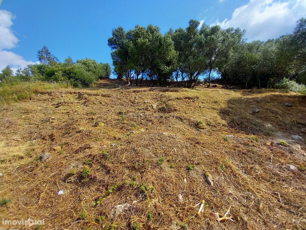 Lote de terreno urbano