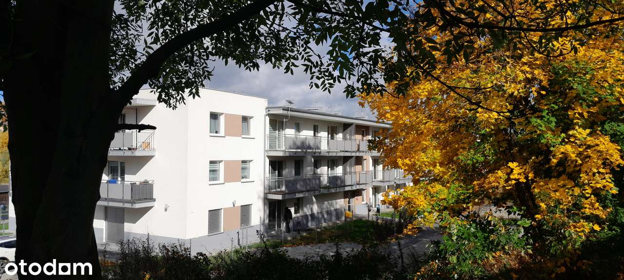 Klonowa 4 | gotowe do odbioru.-9