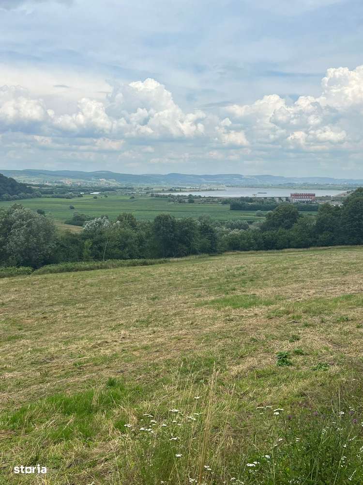 Teren între Tălmaciu și Racoviță – 25.000 mp în mijlocul naturii! - Imagine principală: 4/5