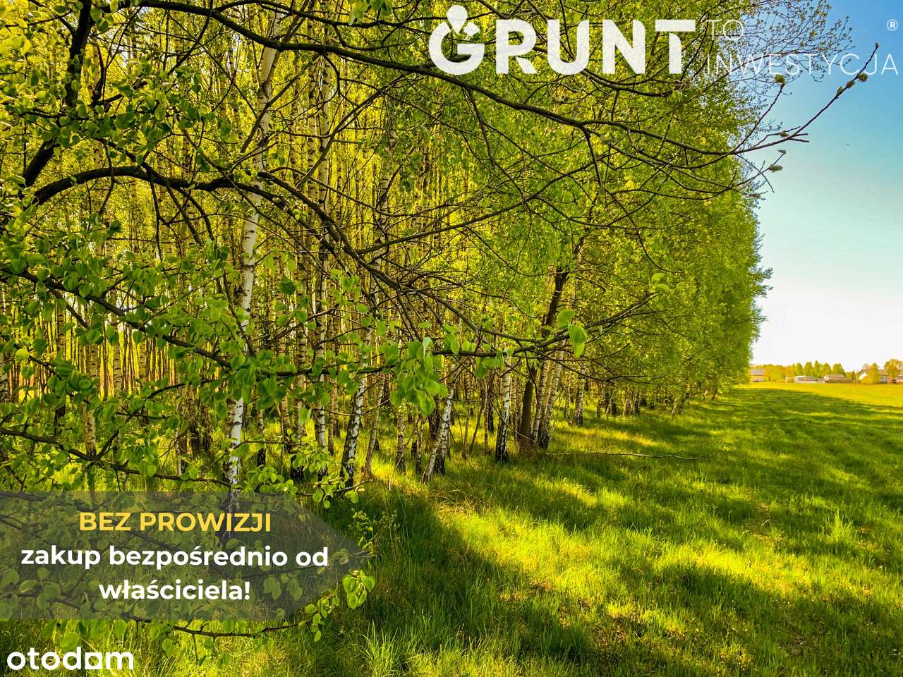 Działki budowlane pod lasem - Pełny obrazek: 5/9