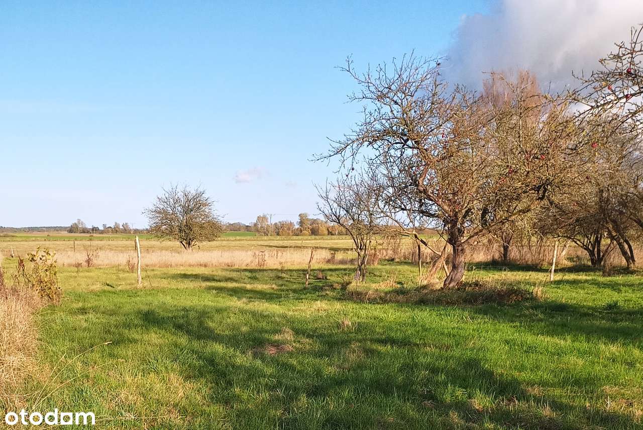 Sprzedam działkę z warunkami zabudowy blisko morza i Międzywodzia - Pełny obrazek: 5/9