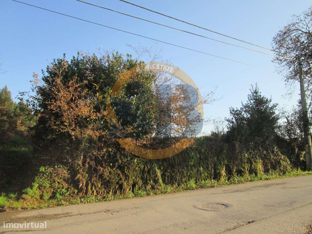 Terreno nos arredores de Ovar - Grande imagem: 2/2