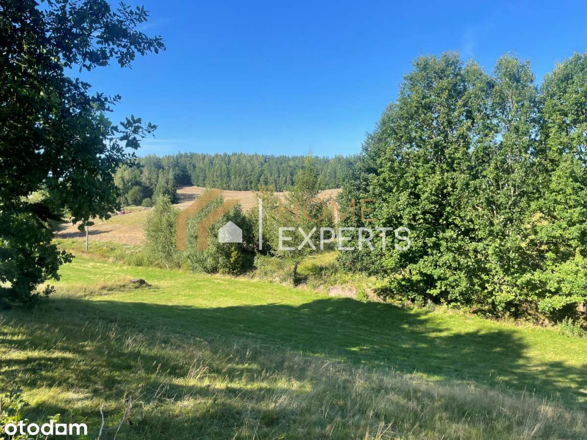 Działka nad jeziorem ! Kistowo (Sulęczyno) - Pełny obrazek: 5/20