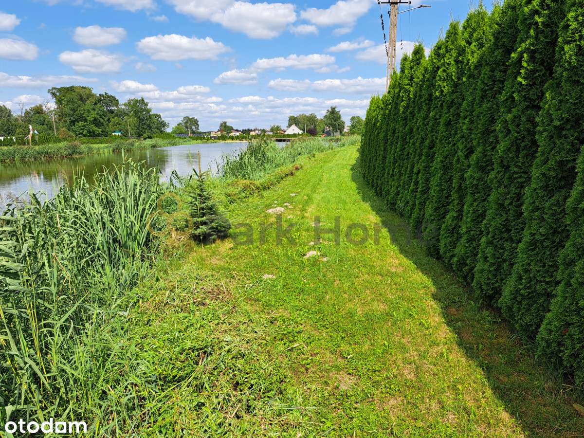 Sprzedam Staw (zarybiony) - Pełny obrazek: 4/6