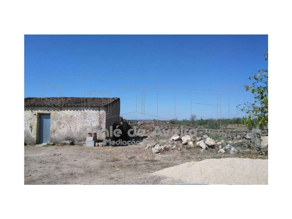 Herdade em Portalegre Com 200 Oliveiras (Nisa)-7