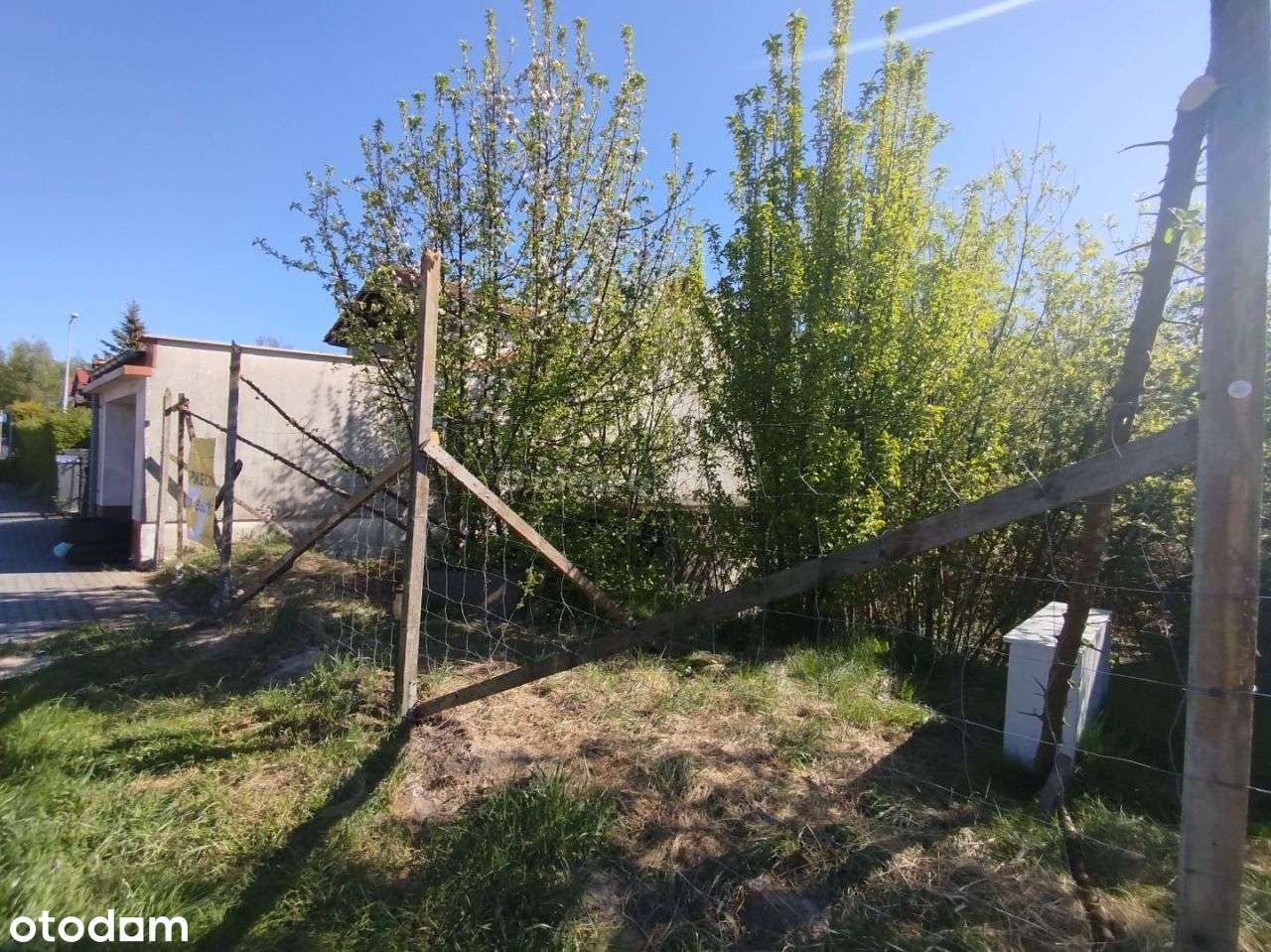 Działka budowlana Słupsk, ul.Biernackiego,300 m/2 - Pełny obrazek: 4/6