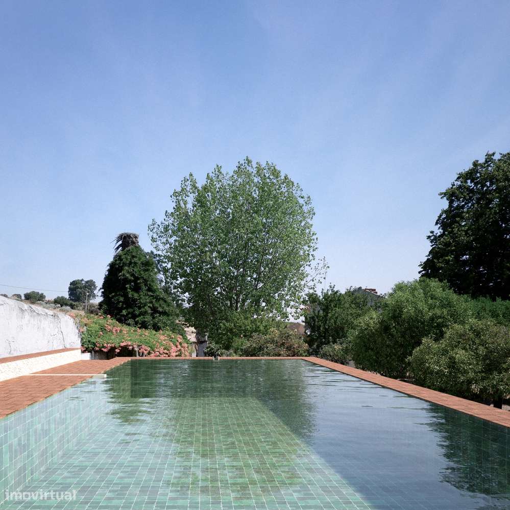 Quinta em Borba: projeto de enoturismo e vinha DOP, Alentejo-26