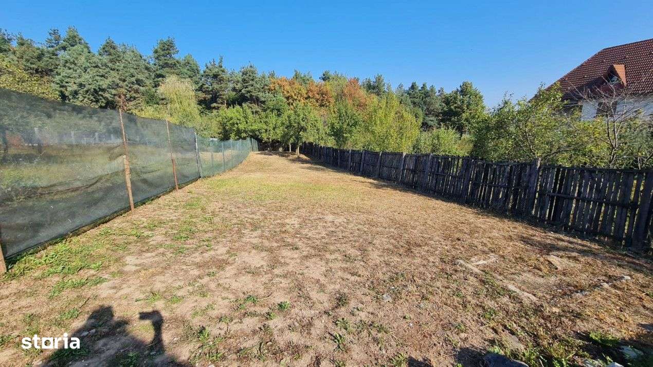 Teren Balotesti, suprafata = 908 mp - Imagine principală: 1/5