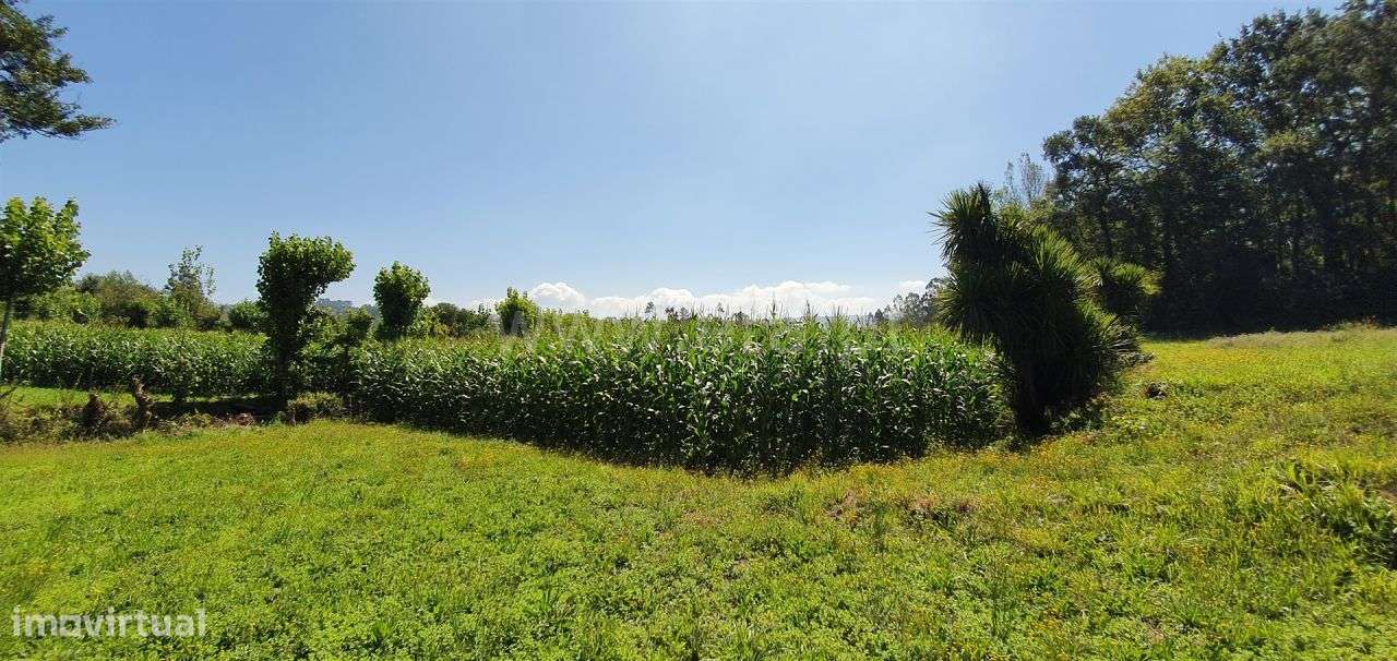 Terreno Rústico - Grande imagem: 5/9