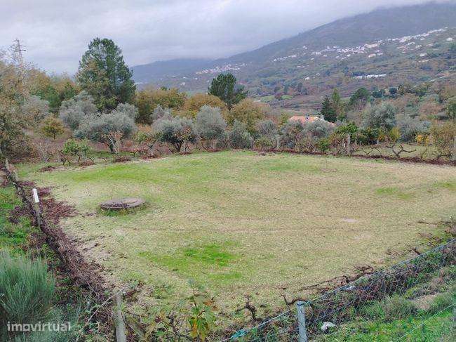 Terreno para construção - Grande imagem: 5/5