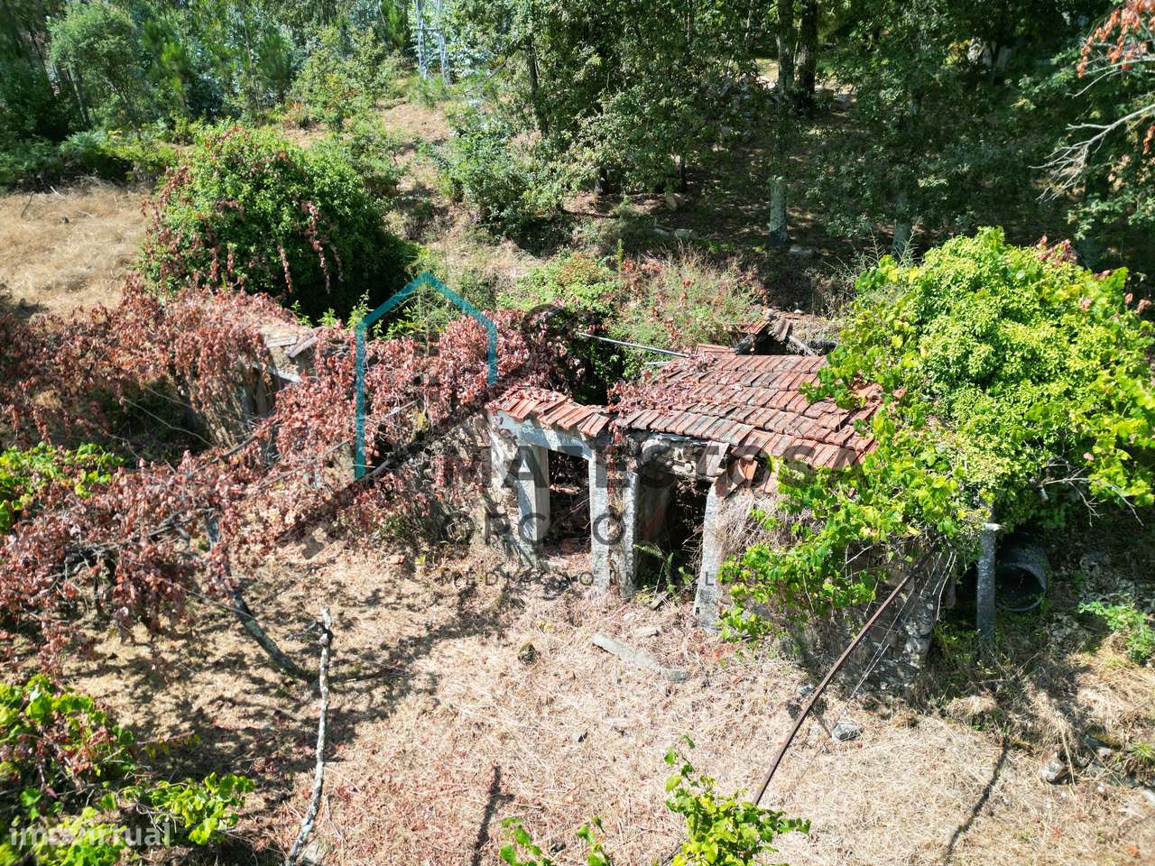 Moradia para Restauro com 4.200 m² — Anais, Ponte de Lima - Grande imagem: 4/16