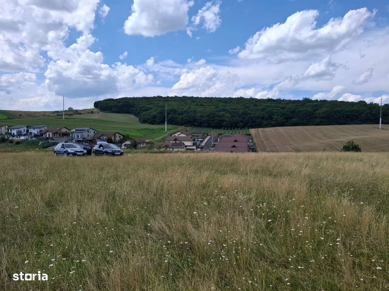 Teren in Sancraiul de Mures, 5800 mp, utilitati la 50 m, padure - Imagine principală: 2/6