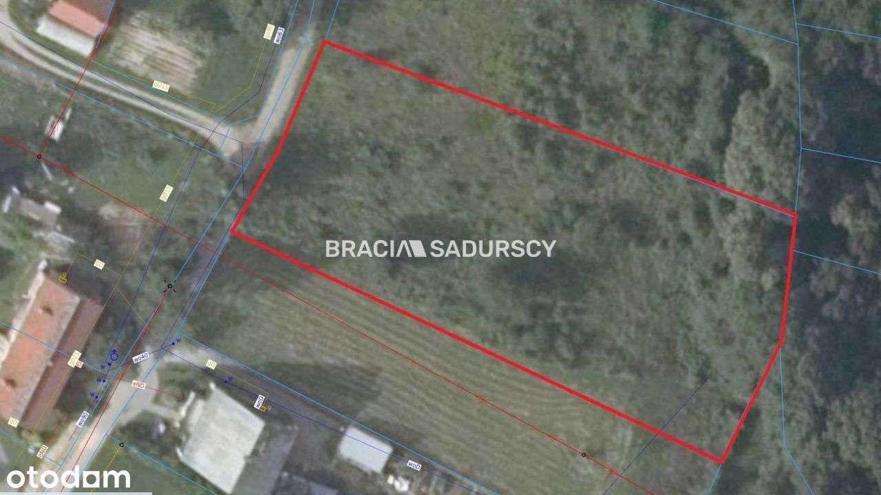 Wieliczka (gw), Jankówka - Pełny obrazek: 5/18