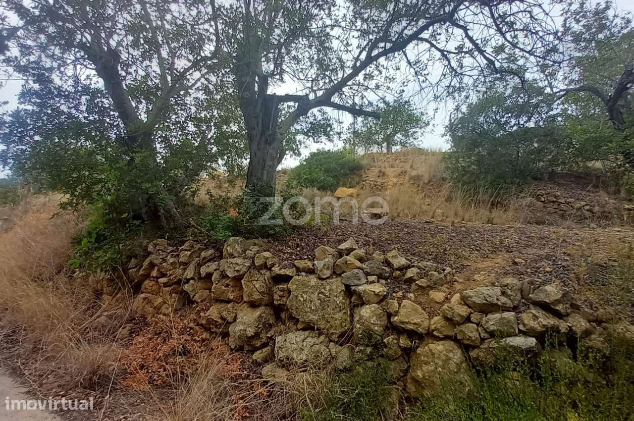 Quinta para recuperar, 2 moradias T5 em ruinas e terreno, Estói, Faro - Grande imagem: 4/60