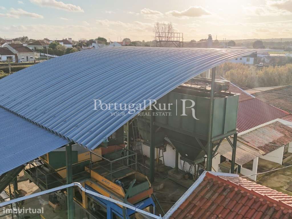 Unidade Industrial de Produção de Azeite & Elevado Potencial Produtivo-56