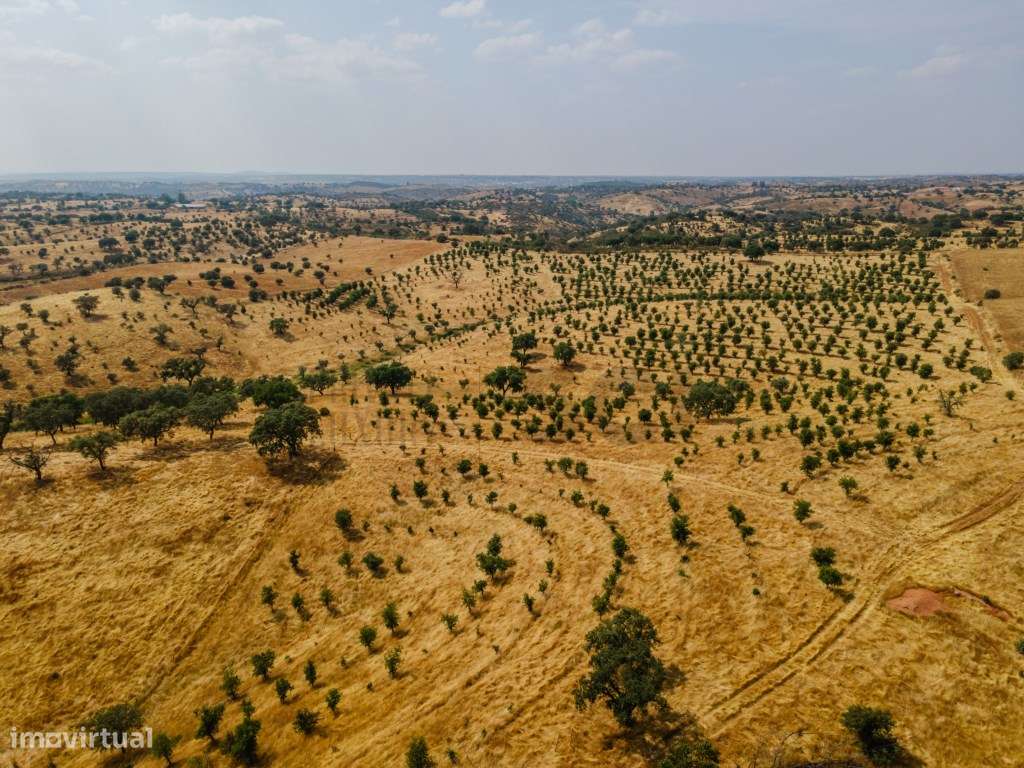 Herdade em Vila Nova de São Bento | 172 hectares - Grande imagem: 5/17