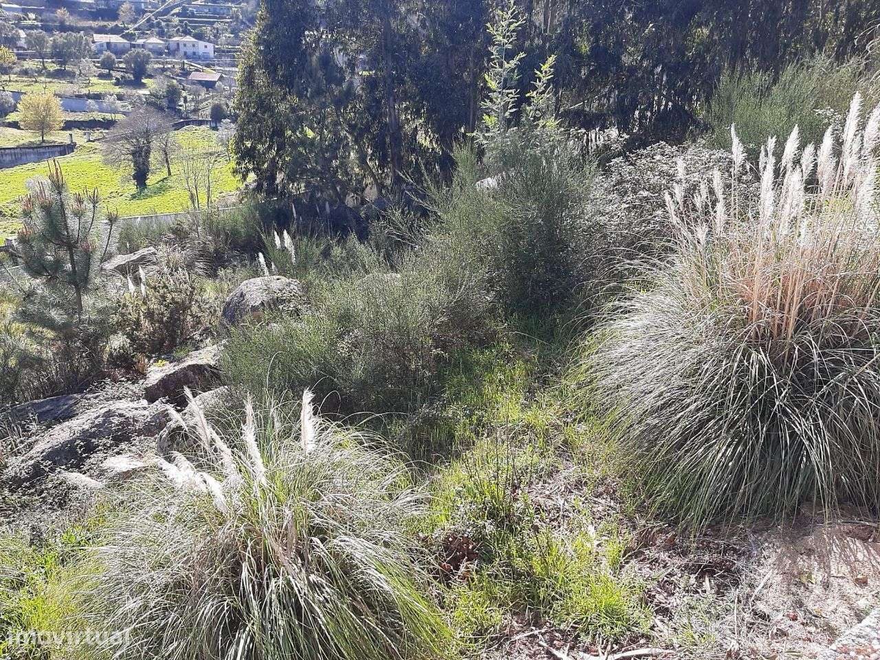 Vende terreno com área de 1300m2 Canelas Penafiel - Grande imagem: 5/15