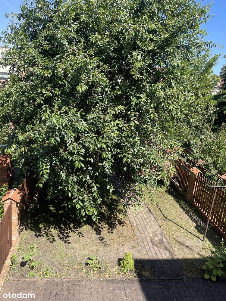 Dom szeregowy z ogródkiem Toruń-17