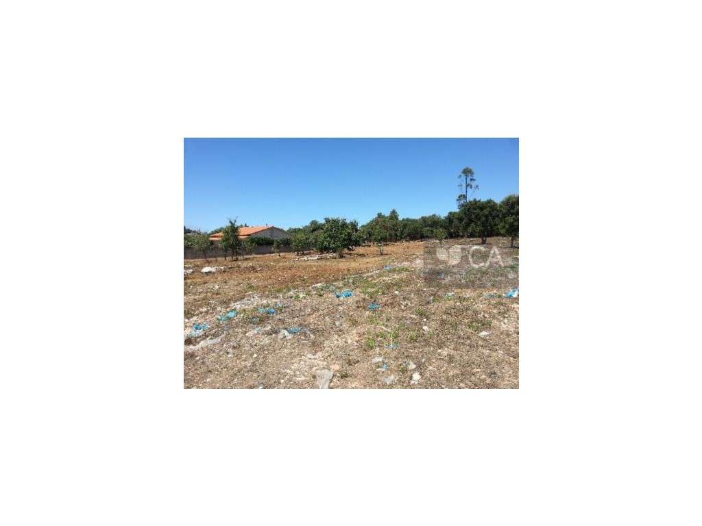 PARCELA DE TERRENO PARA CONSTRUÇÃO INDUSTRIAL EM ORJO - TURQUEL - Grande imagem: 5/5