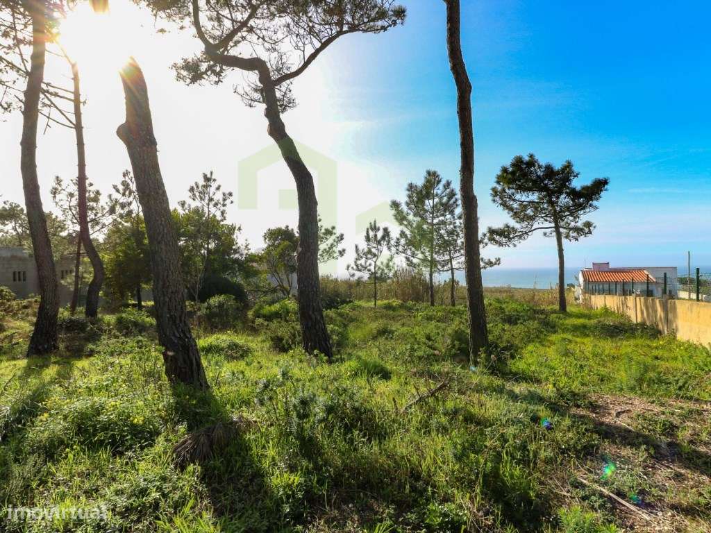 Terreno - Ericeira 11 km, A Casa das Casas - Grande imagem: 4/8