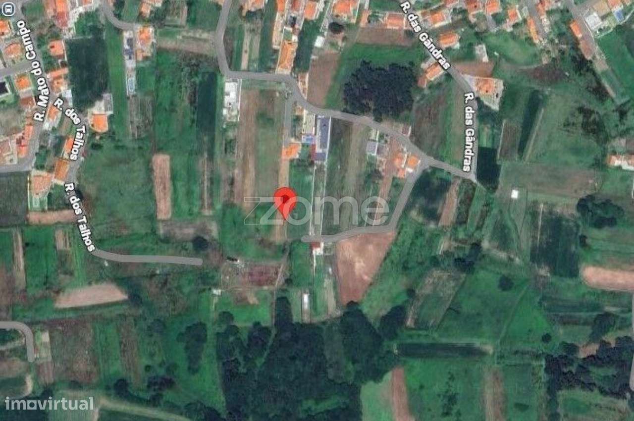 Terreno Rústico em Belinho e Mar - Grande imagem: 5/18