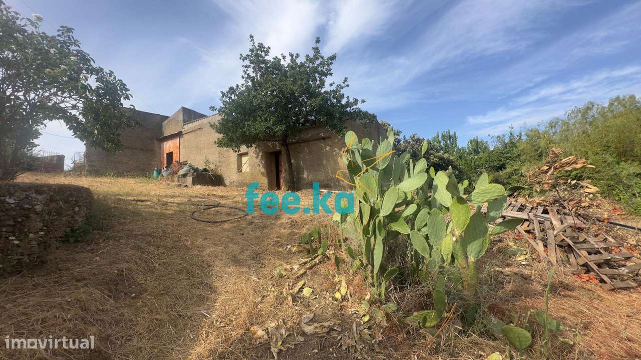 Quintinha-39