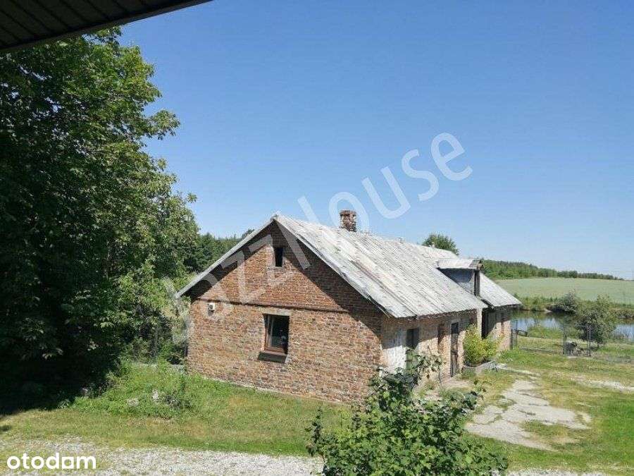 Gospodarstwo - działka inwestycyjna z domem i zabu - Pełny obrazek: 4/20