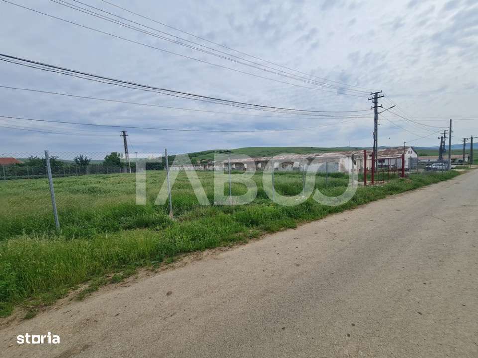 Hala in constructie cu teren intravilan de vanzare in Cut judetul Alba - Imagine principală: 4/4
