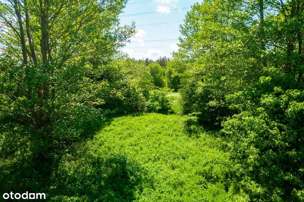 Działki budowlane w otoczeniu lasów i łąk - sielskie klimaty-0