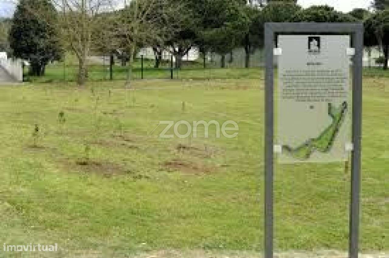 Trespasse Café / Snack-Bar no Parque da Maia - Grande imagem: 2/2