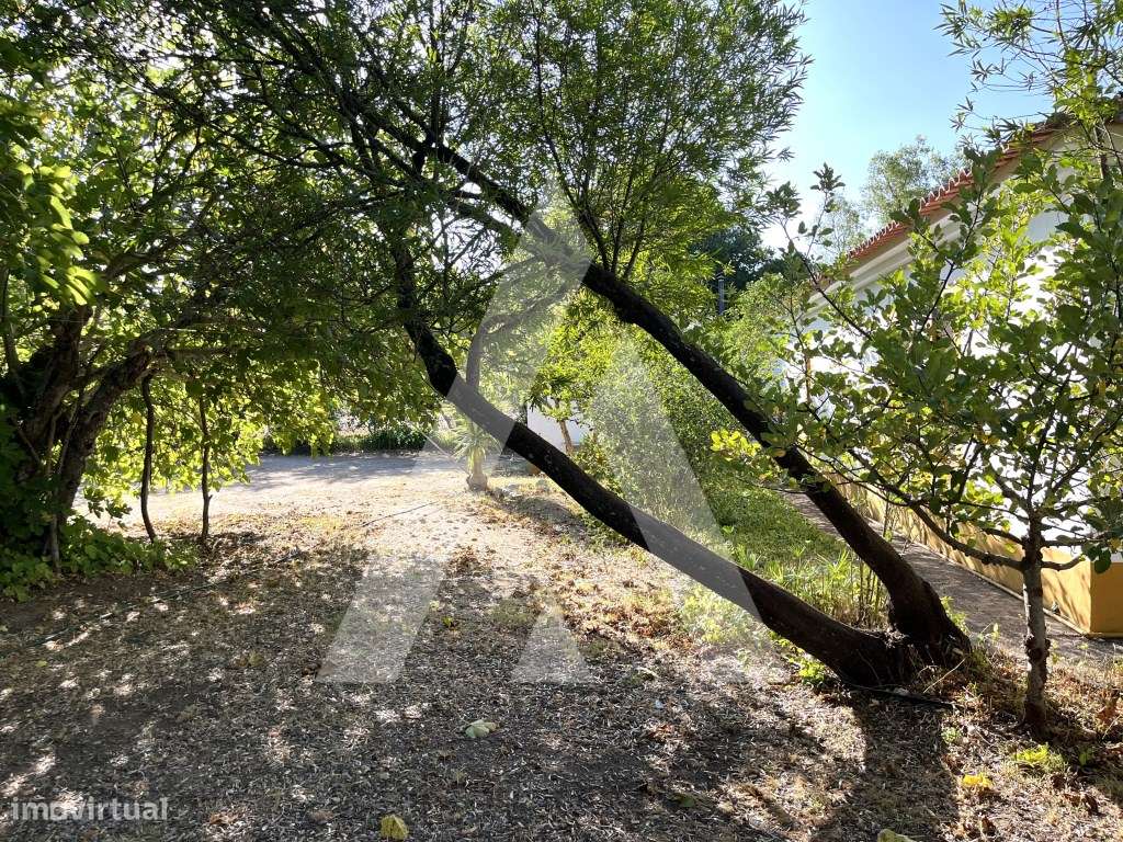 Quinta em Évora.-20