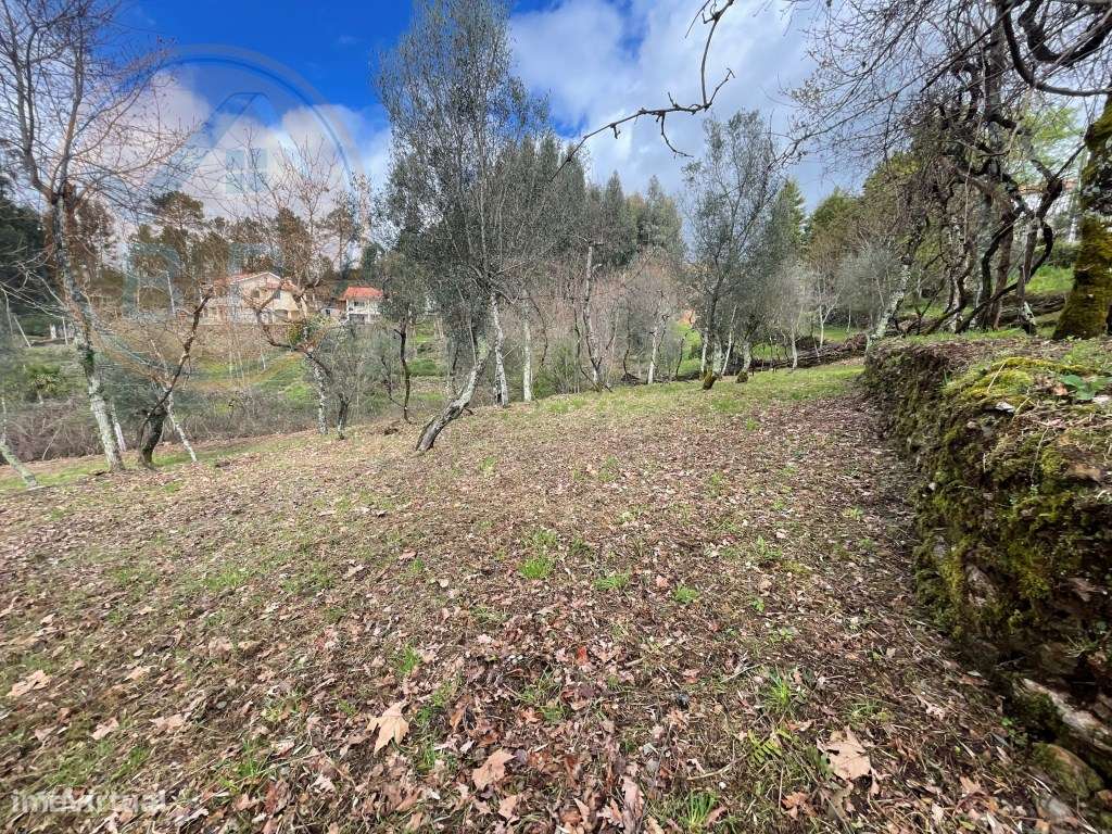 Moradia T4 em Chacim, Cabeceiras de Basto-41