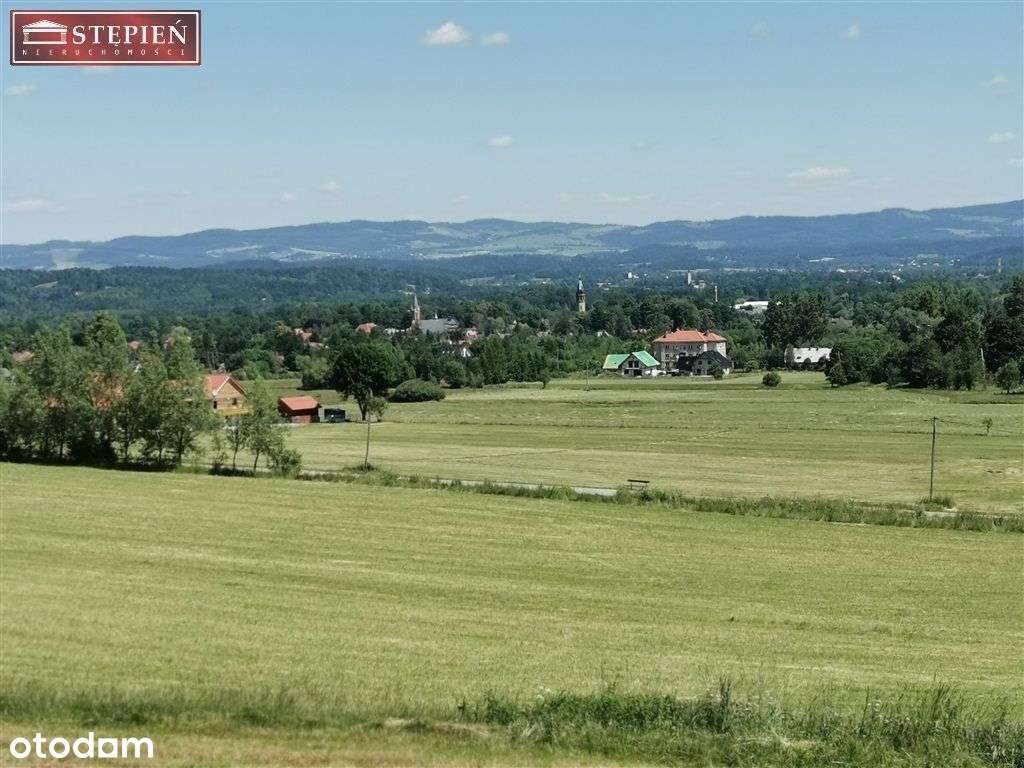 Duża, widokowa działka z lasem w Miłkowie - Pełny obrazek: 4/16