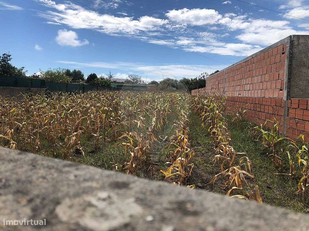 Terreno  para venda - Grande imagem: 5/8