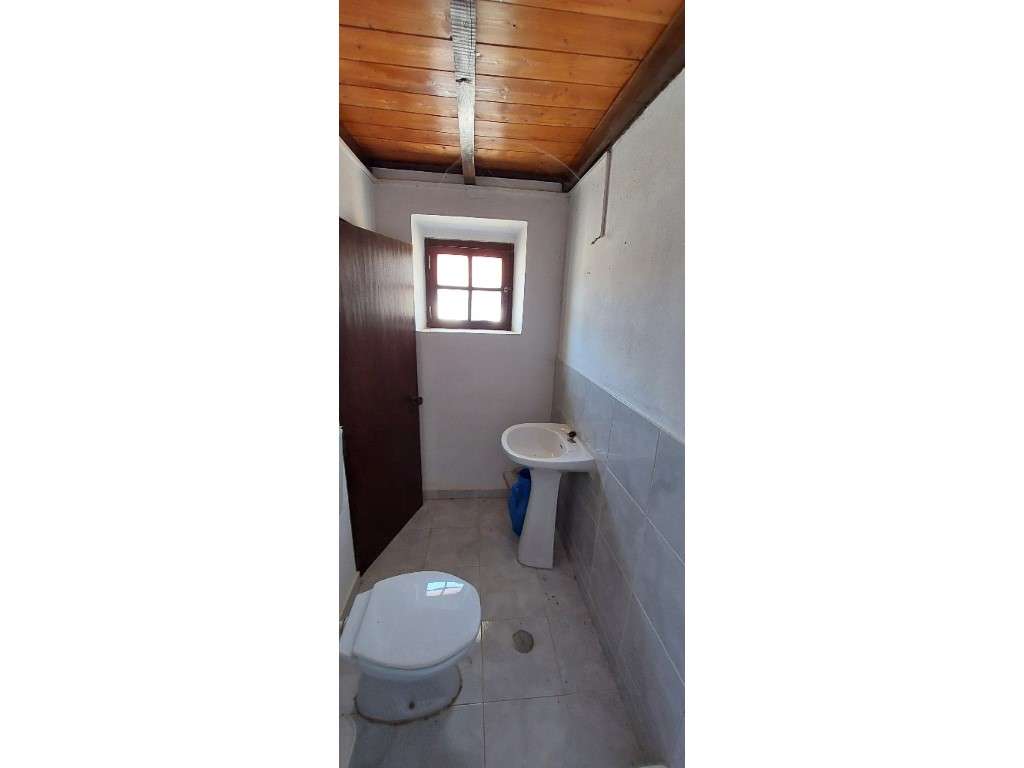 HERDADE 92 ha l Colos-12