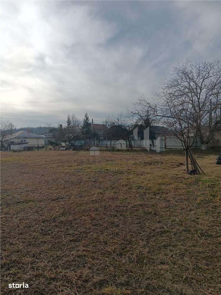 Teren 3500mp. Paun Bucium la asfalt cu toate utilitatile - Imagine principală: 2/7