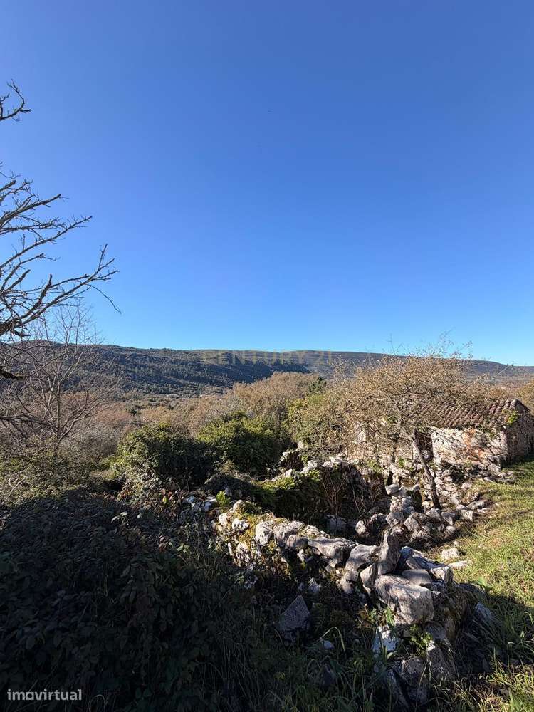 Terreno com Ruína e Projeto Aprovado no Coração da Serra – Alvados - Grande imagem: 3/12