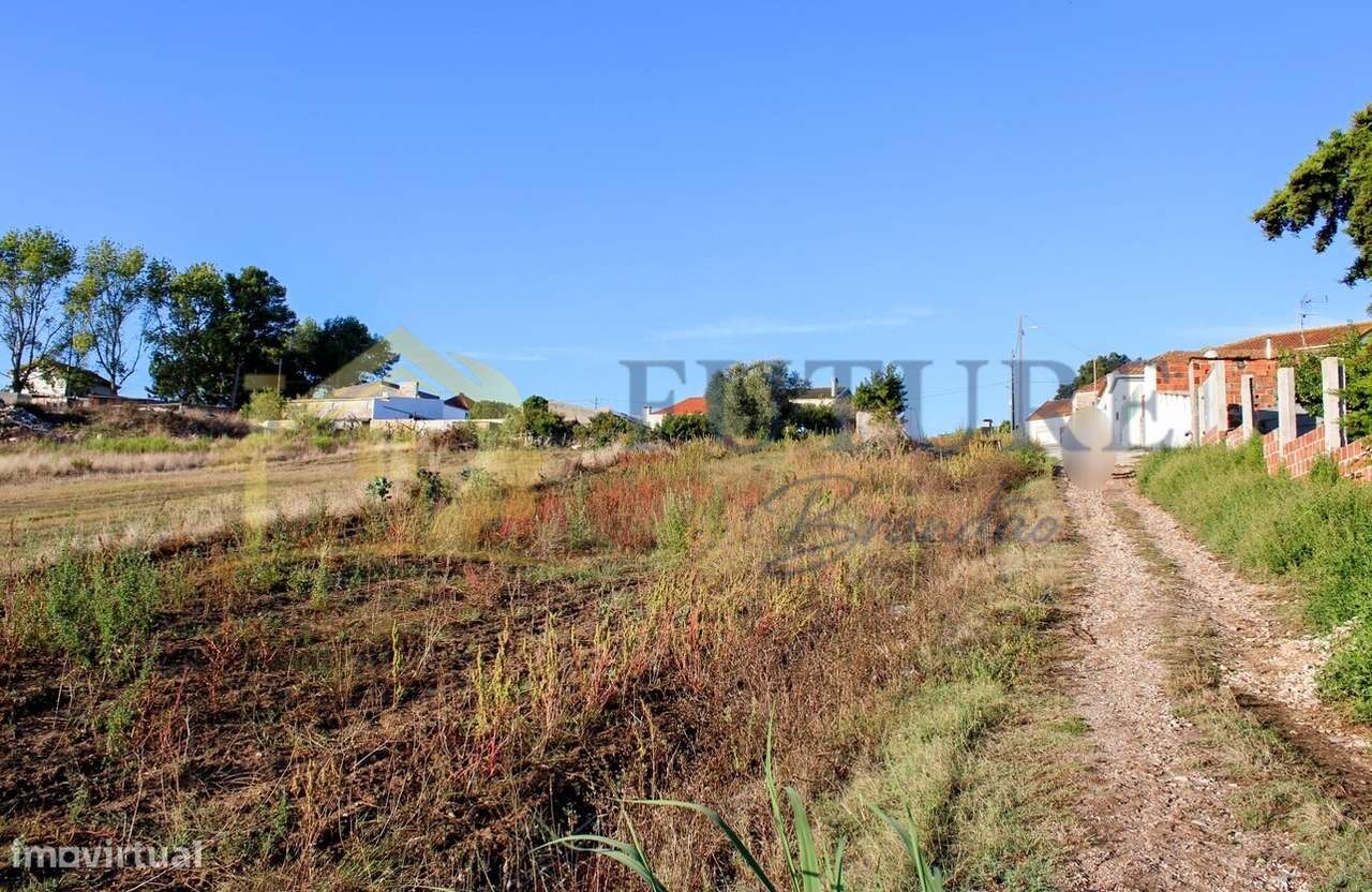 Terreno  Venda em Bombarral e Vale Covo,Bombarral-18